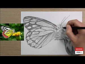 Débuter le dessin / le papillon