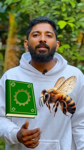 Haris Manjeri on Instagram: "The Miraculous Honey Bee: A Wonder in the Quran Dive into the incredible world of honey bees! In this video, we explore the mind-blowing abilities of these tiny engineers, from their complex navigation systems to the fascinating art of collecting nectar and making honey. We uncover many lesser-known facts about their creation and daily lives. But the biggest miracle lies deeper. Over 1400 years ago, the Holy Quran, in Surah An-Nahl (The Bee), revealed a profound scie