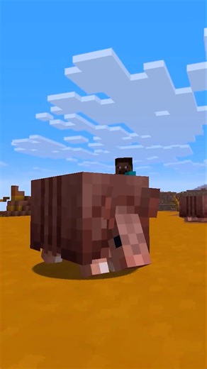 4 FACTS ABOUT THE ARMADILLO IN MINECRAFT #shorts