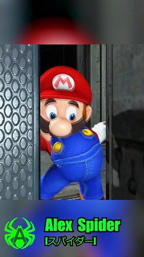 Mario Dodges his PINGAS stuck in Space Door