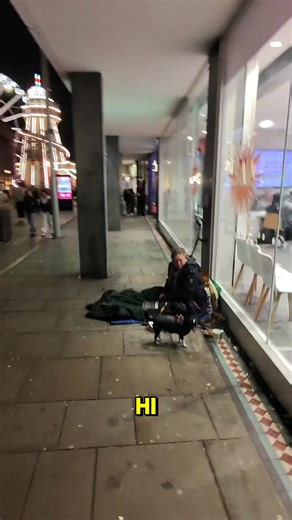 Helping Homeless Animals in Nottingham