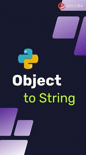 Python Object to String