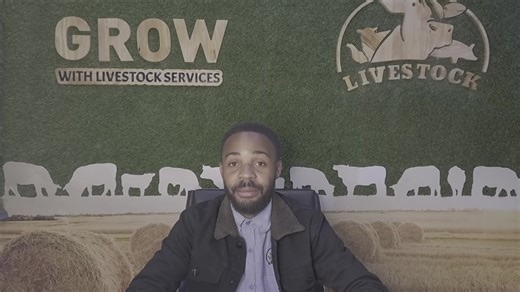 3.7K views · 76 reactions | Topic: Apiary Management (Apiculture & Beekeeping) Presenter: Mr. Alick MacLagan | Livestock Services | Facebook