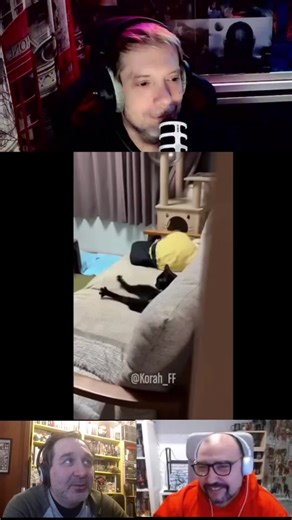 CrossFit Gatuno: El Must del Humor en Tu Vida