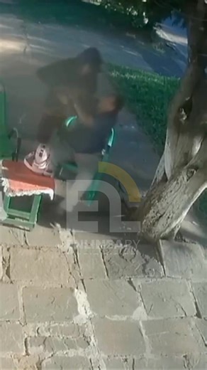 Un hombre de la tercera edad fue víctima de un asalto mientras se encontraba sentado en la vereda de su vivienda tomando tereré. El hecho ocurrió a plena luz del día y quedó registrado en imágenes de circuito cerrado que posteriormente se difundieron en redes sociales. https://enlinea.com.py/delincuente-asalto-a-un-abuelo-que-tomaba-terere-en-su-vereda/ | En Linea PY