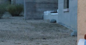 9 Sad TV Commercials Guaranteed to Make You Cry ...