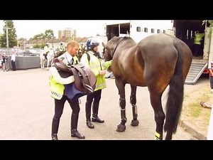 Metropolitan Police Mounted Branch