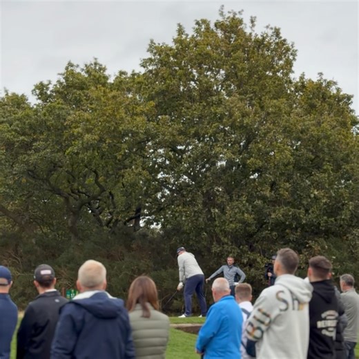 Peter Finch Golf on Reels