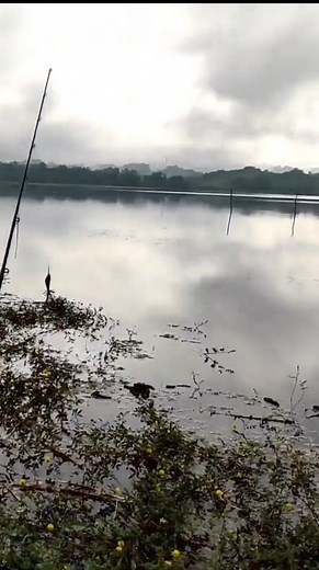 Casting toman dengan lure ulin brudu #castingtoman #Duniacasting #Mancingtoman #yancasterfa | Yan Caster FA