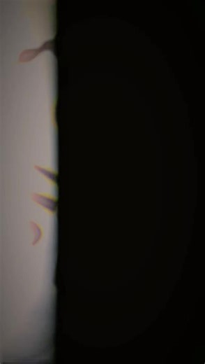 aaah shidaaa,,,,,aaah dhikiiiii,,,,odilo classic #viralvideos #fyppppppppppppppppppppppp #singelitrending@MARIOO @DJ FACEBOOK