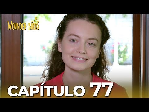 Omer Stolen Dreams | Chapter 77