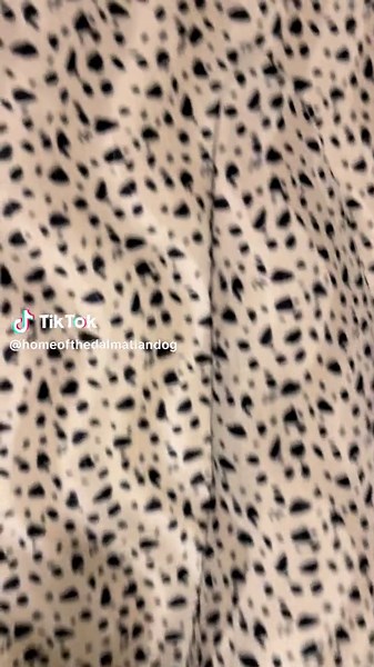 Explore the Home of the Dalmatian Dog in Croatia