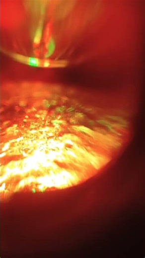 5 октября 2025 г.