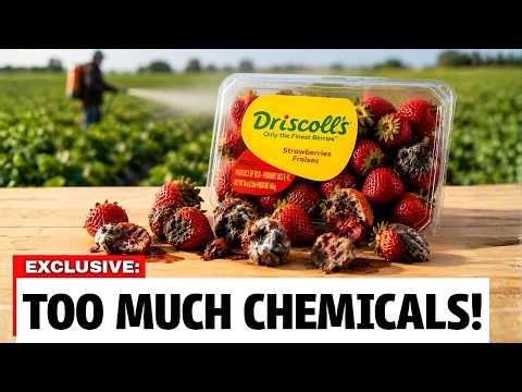 4 Canadian Strawberry Brands To AVOID (And 3 You Can Actually Trust)