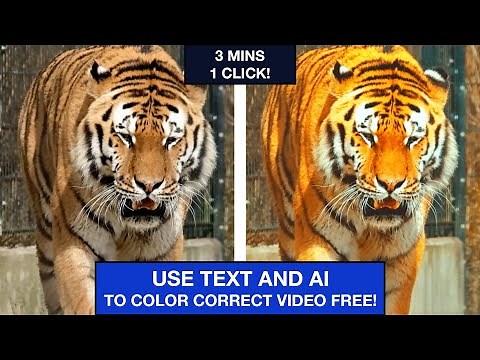 1 CLICK Video Color Correction (Using Text)! - FREE AI Tool