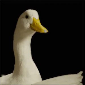 4.5K views · 110 reactions | Can Aflac help cover expenses that health insurance doesn’t? #AflacHelpDesk | Aflac Duck | Facebook