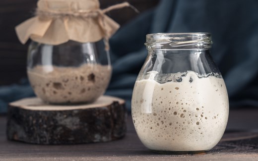 60 Zero Waste Sourdough Starter Discard Recipes