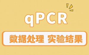 对用qPCR检测出的数据进行数据分析处理详细教程，实战演示