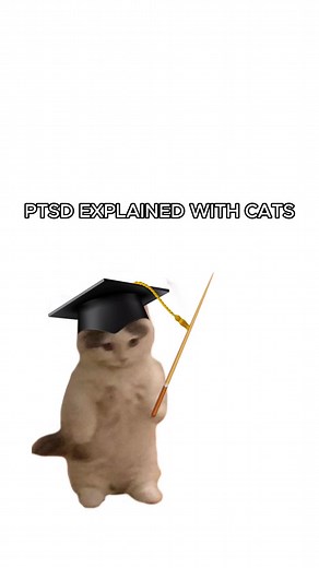 Kitty Survives: Funny Cats and PTSD Awareness