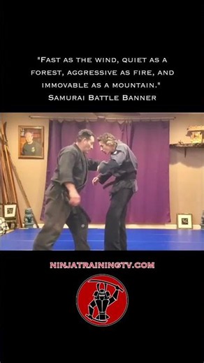 High Low Attack Flow Combo, Hito, Koto Ryu, #shorts #ninja #samurai #martialarts