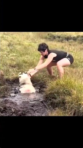This Rescue Took Pure Strength and Heart ❤️ #pets