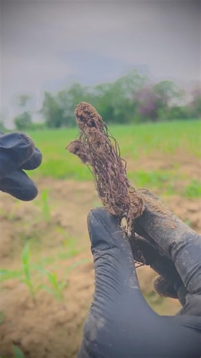 Day 76 of 150 - this will surprise you 😮😱