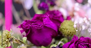 A combined bouquet of different types of flowers in close-up, beautiful dried flowers in a gift bouquet