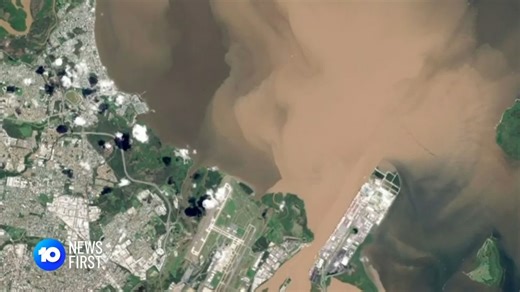 7.5K views · 36 reactions | Moreton Bay is one of the south-east's most magical places, but recent flood events have smothered the sea floor with mud. A University of Queensland study has found 98% of it is covered in sludge, and it's not the only concern. | 10 News Queensland | Facebook