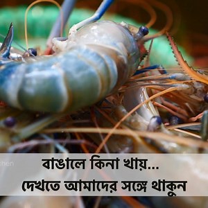 Indian Traditional Village Cooking Channel | villfood