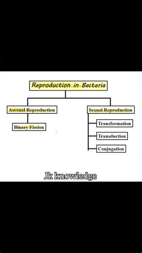 Reproduction in bacteria 🦠//Asexual & sexual reproduction// #biology #botanylovers #bacteria