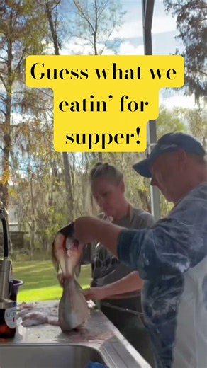 How To Fillet a Mess Of Crappie Fish - with Judge Gaudet - Part 4 #crappiecrazy