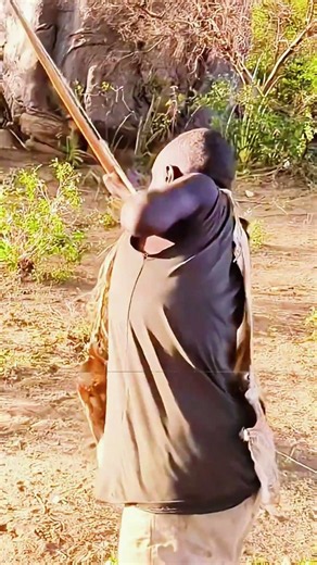 Two Wild Cheetahs Fighting in Rocks & Hadzabe Hunter Back-Carrying Massive Monkey 🐆🏹 #shorts