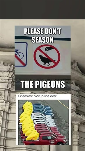 meme of the day #music #harrypotter #song #potterhead #sad #memes #daymusic #funny #venca #lol