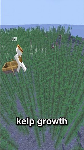 The BEST Ways To Find Bases On The #donutsmp