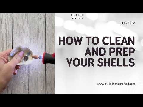 How to Clean and Prep Seashells for Decoupage | Step-by-Step Tutorial