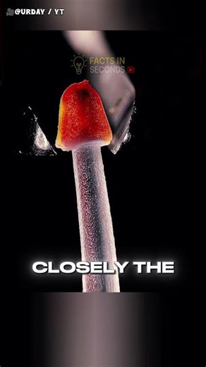 The Best Way to Remove a Clothing Tag😳‼️