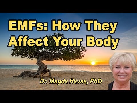 How the Body Reacts to Electromagnetic Frequencies