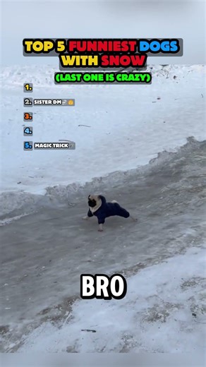 TOP 5 Funniest Dogs With Snow❄️🐶