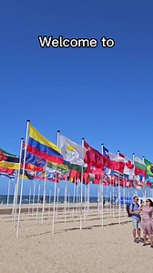 11K views · 133 reactions | Welcome to... Schevenigan? Shaveagain? 藍 However you pronounce it, we're loving being in Scheveningen  #allianzswc23thehague #GetReadyFortheBest | World Sailing | Facebook