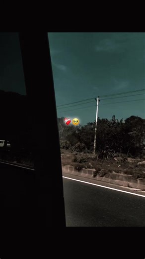 Creator Insights and Emotional Authenticity on TikTok