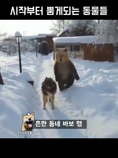 웃음이 쏟아지는 동물들의 병맛짤 모음