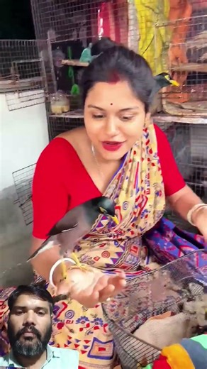 choti chidiya badi hi pyari hai #funny #birds #monkeysr #birdsong #comedy #funnymoment #animals