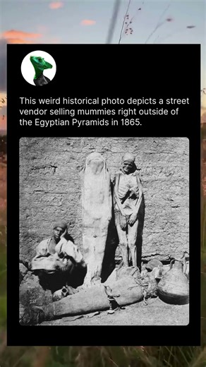 Mummies for Sale Beside Pyramids!