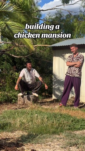 Raising Chickens: Your Guide to Chicken Parenting