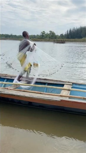 Net cast fishing shorts viode 🐬🐠🐟