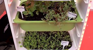 What have you built with Arduino? Interview 6&7 #MFRome14 | Arduino Blog