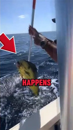 When a Fish Scares a Dog 😂