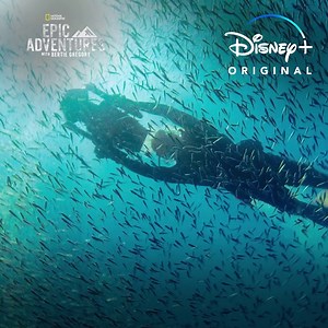 1.9K views · 28 reactions | Bertie Gregory can't predict animal behavior, but he can always count on an extraordinary adventure. #EpicAdventuresWithBertieGregory, a five-part series, is now streaming on Disney+! | National Geographic TV | Facebook