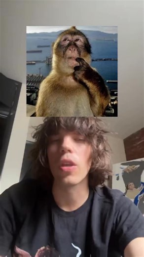 Daniil Gritsenko on Instagram: "Drain Gang and their Swedish expat crew (RIP Thaiboy Digital) are a full-blown cultural force for Gen Z. Their influence goes way beyond SoundCloud and Spotify, seeping into fashion, digital aesthetics, and the way we express identity online. They created a whole vibe, mixing 90s hip-hop, grunge, and cyberpunk into a style that fans call “Draincore,” complete with black metal fonts, sparkles, Y2K visuals, and signature clip art. Members like Bladee and Ecco2K have