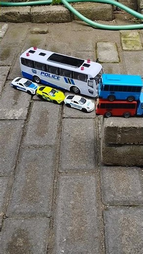 Relaxing ASMR 10S | Tayo bus,Trucks,Car,Train Toy On Aussie #shorts #Aussie #ToyTrucks